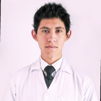 Research Assistant 2